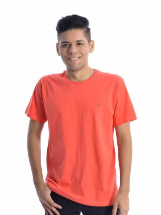 fernandaramosstore com br camiseta masculina ogochi basica laranja