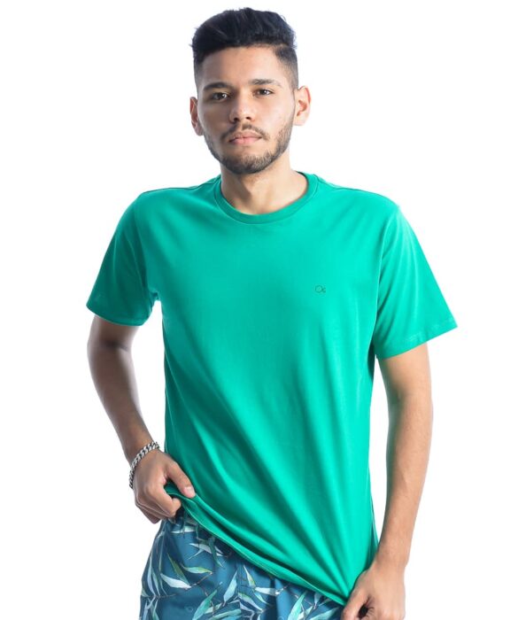 fernandaramosstore com br camiseta masculina ogochi basica verde 11