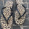 fernandaramosstore com br chinelo animal print