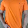 fernandaramosstore com br camiseta masculina back to basics laranja 7