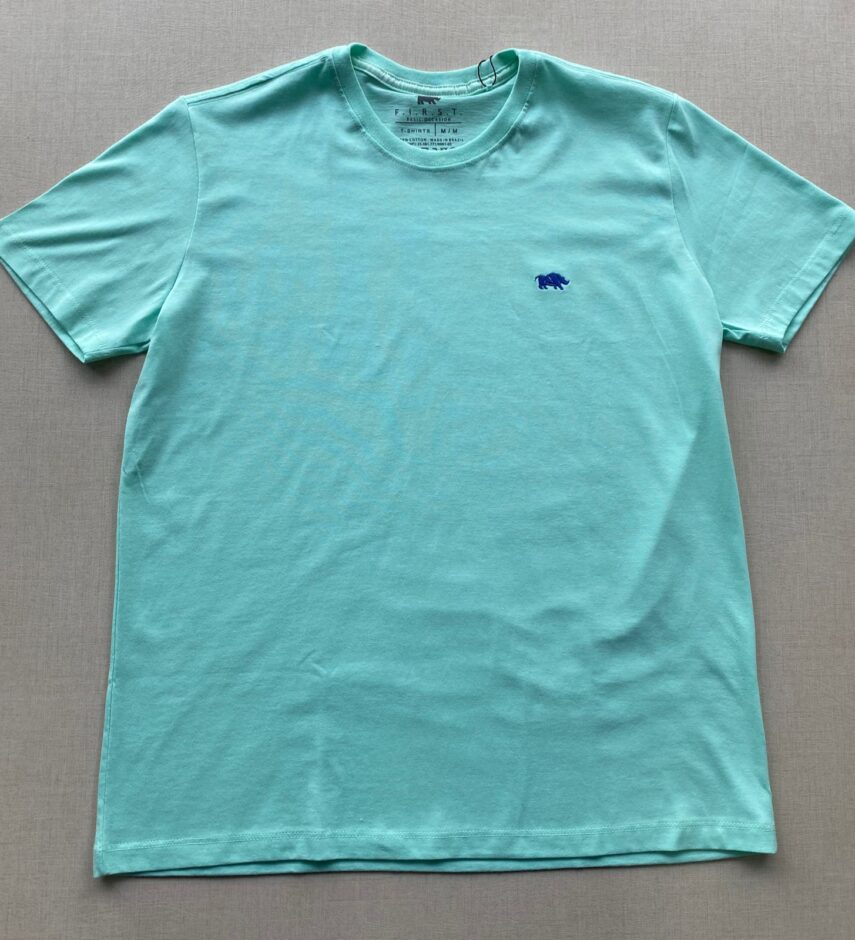 fernandaramosstore com br camiseta masculina basic verde agua 1