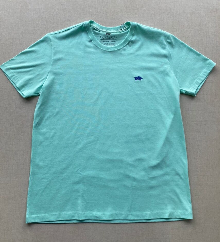 fernandaramosstore com br camiseta masculina basic verde agua 2