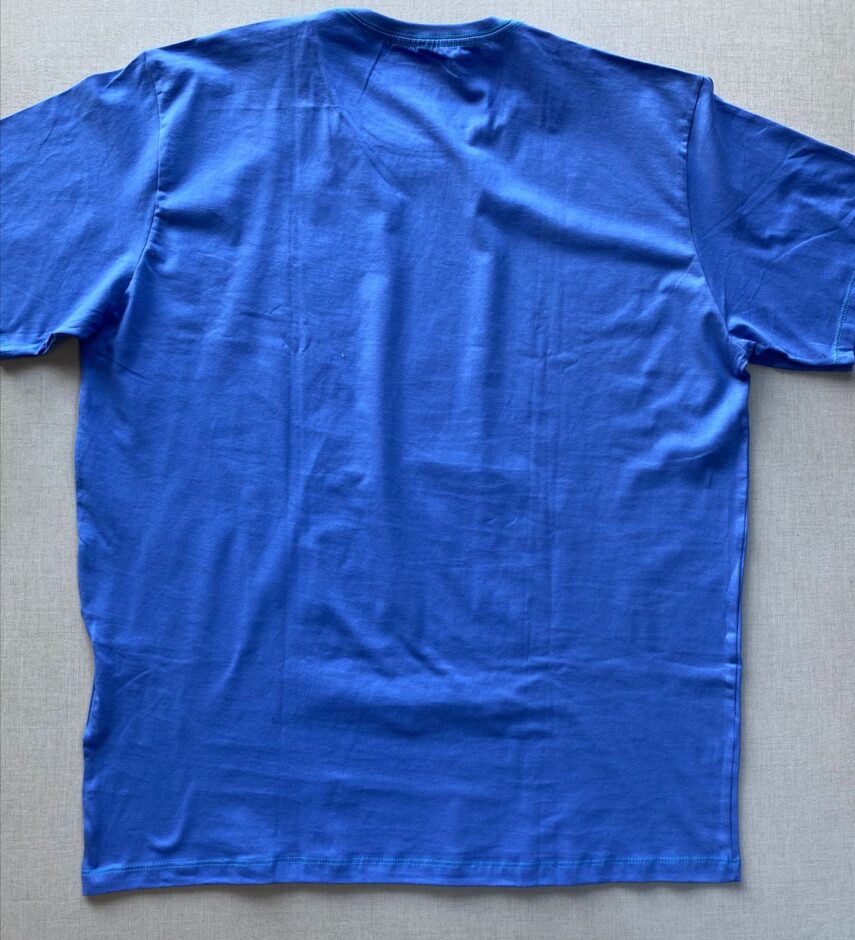 fernandaramosstore com br camiseta masculina ogochi basica plus azul 0808 2