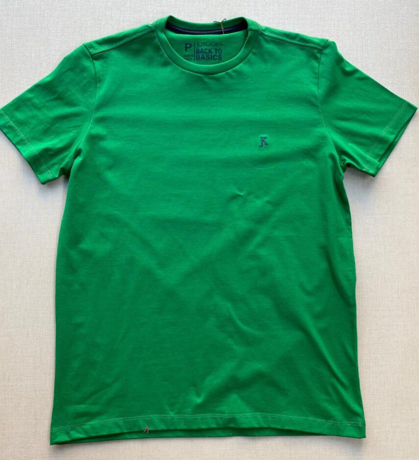 fernandaramosstore com br camiseta masculina back to basics verde bandeira 1