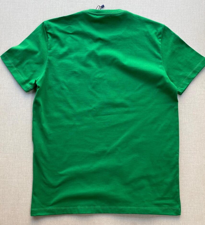 fernandaramosstore com br camiseta masculina back to basics verde bandeira 2