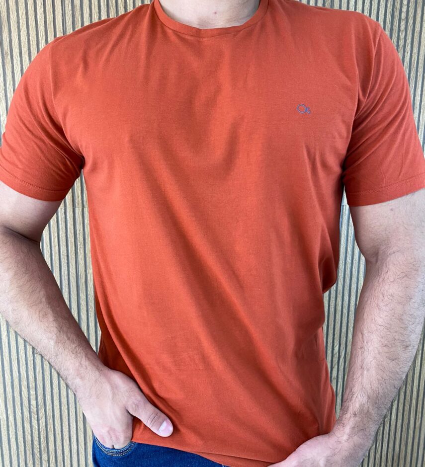 fernandaramosstore com br camiseta masculina ogochi basica terra 4048 2