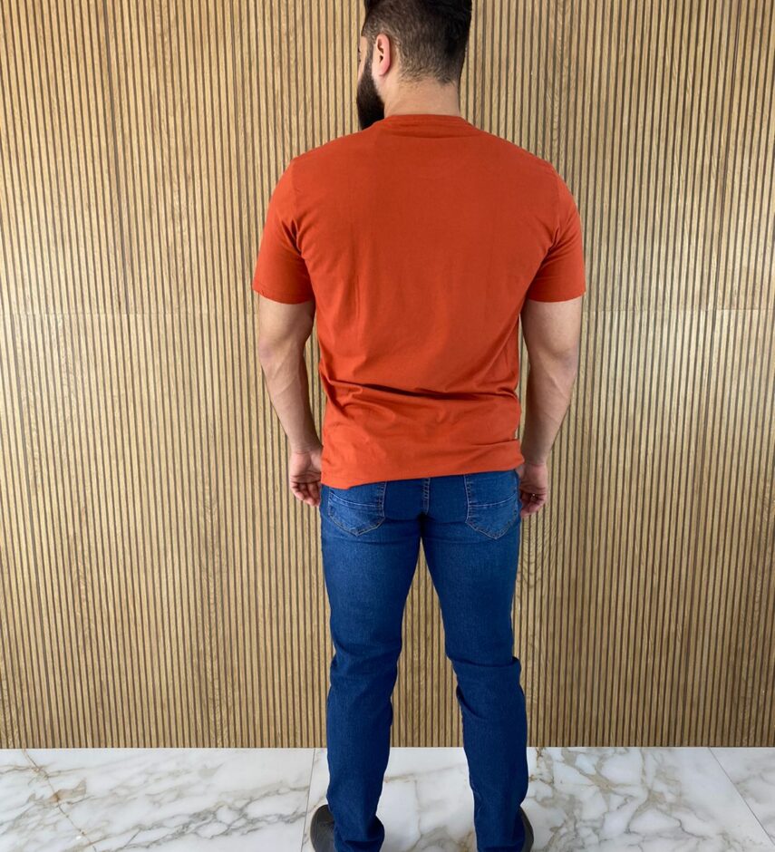 fernandaramosstore com br camiseta masculina ogochi basica terra 4048 3