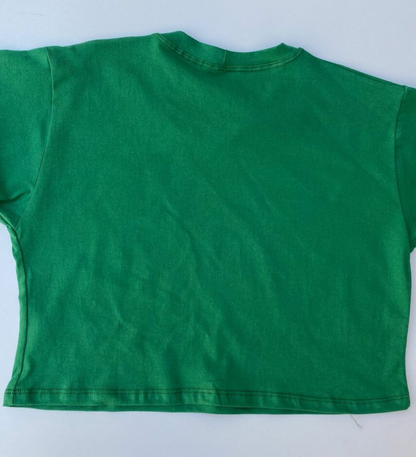 fernandaramosstore com br cropped feminino sem bojo com estampa verde 1
