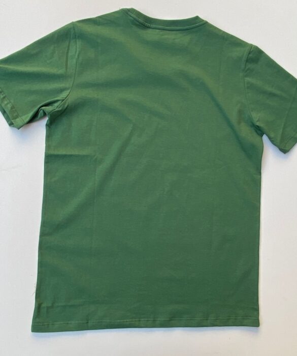 fernandaramosstore com br camiseta masculina basic verde musgo 1