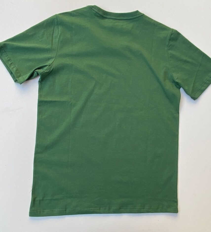 fernandaramosstore com br camiseta masculina basic verde musgo 1