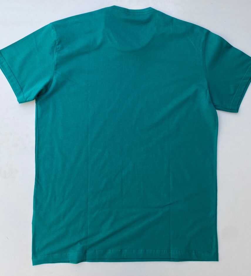 Camiseta Masculina Ogochi Básica Verde Água - Fernanda Ramos Store