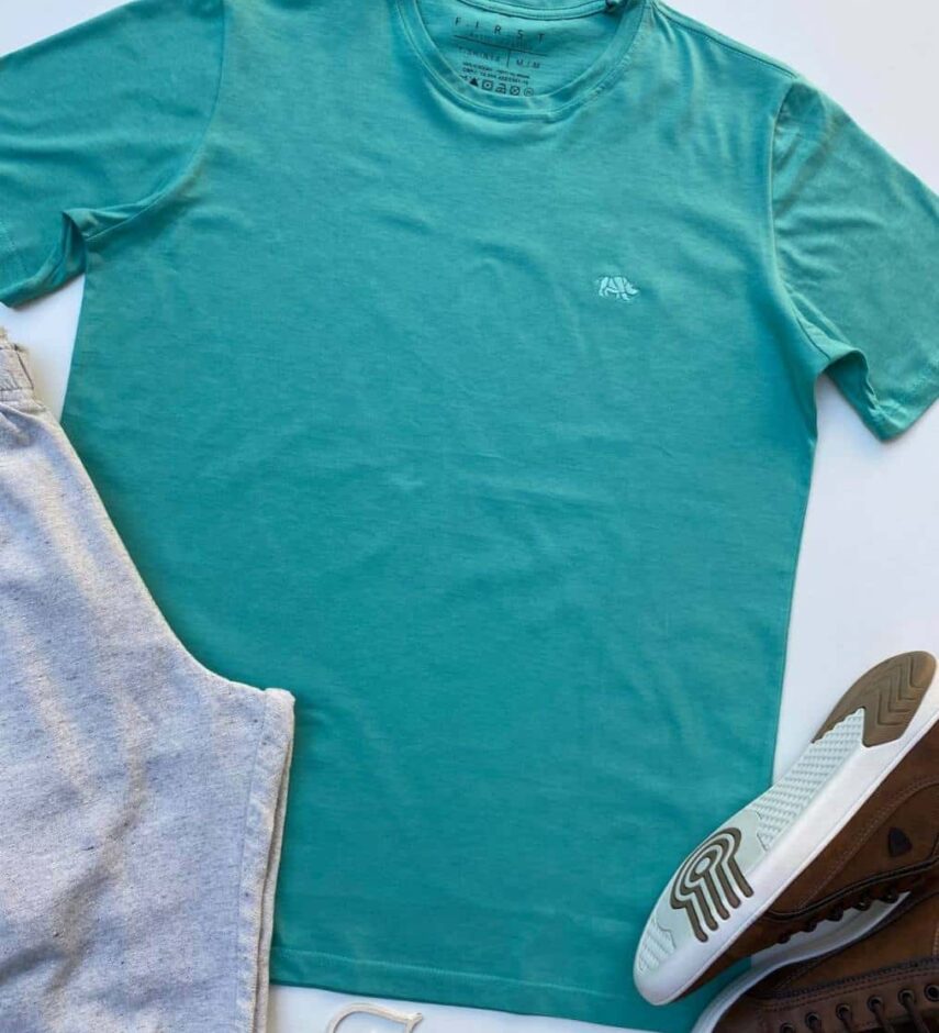 fernandaramosstore com br camiseta masculina basic ocass verde agua 1
