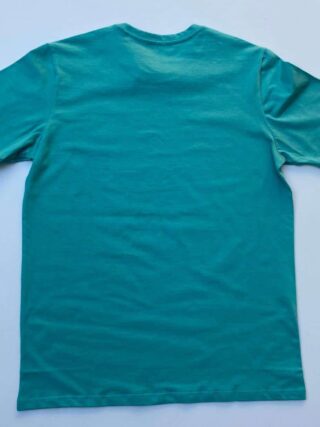 fernandaramosstore com br camiseta masculina basic ocass verde agua 2