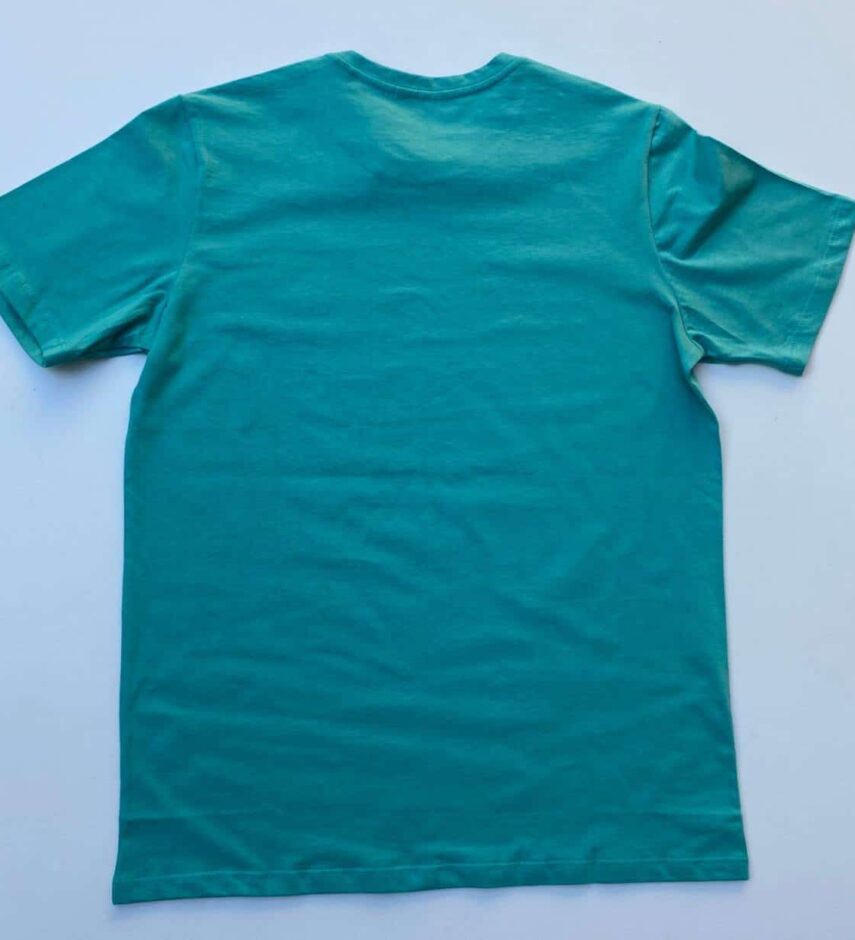 fernandaramosstore com br camiseta masculina basic ocass verde agua 2
