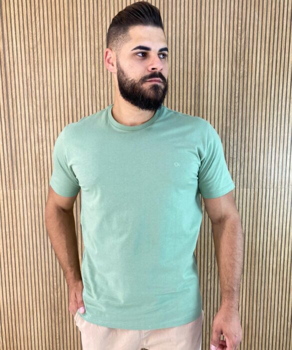 Camiseta Masculina Ogochi Básica Slim Verde 0210 - Fernanda Ramos Store