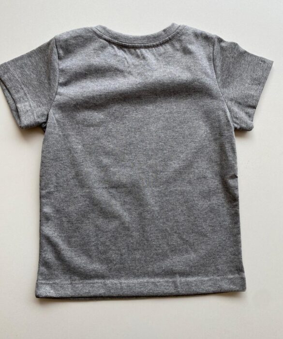 Camiseta Infantil Masculina Manga Curta Cinza Cor 01 - Fernanda Ramos Store