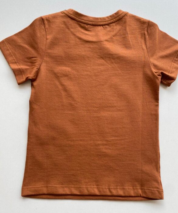 Camiseta Infantil Masculina Manga Curta Terra Cor 28 - Fernanda Ramos Store
