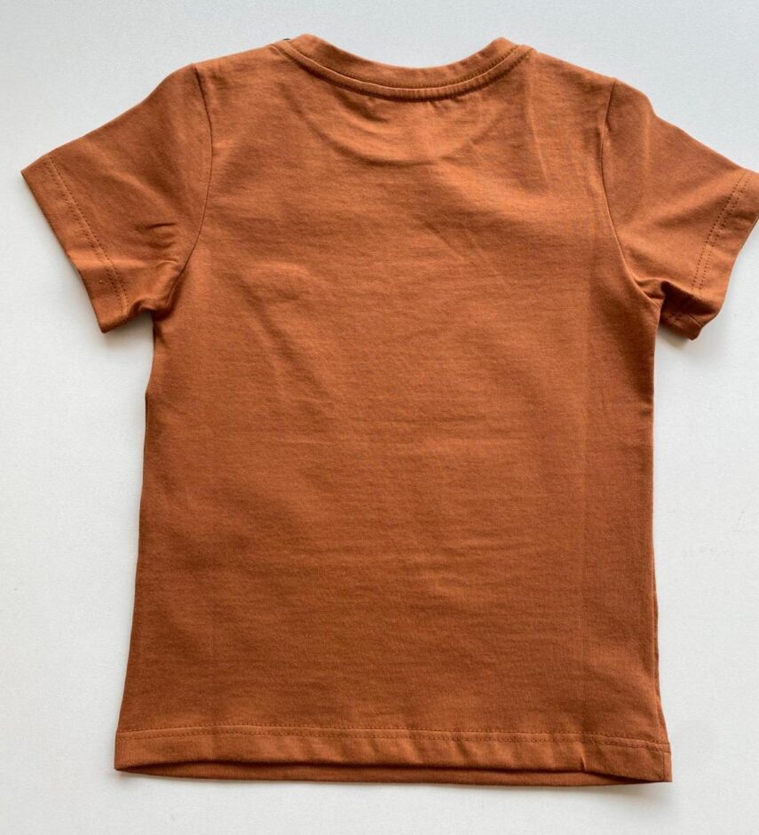 Camiseta Infantil Masculina Manga Curta Terra Cor 28 - Fernanda Ramos Store