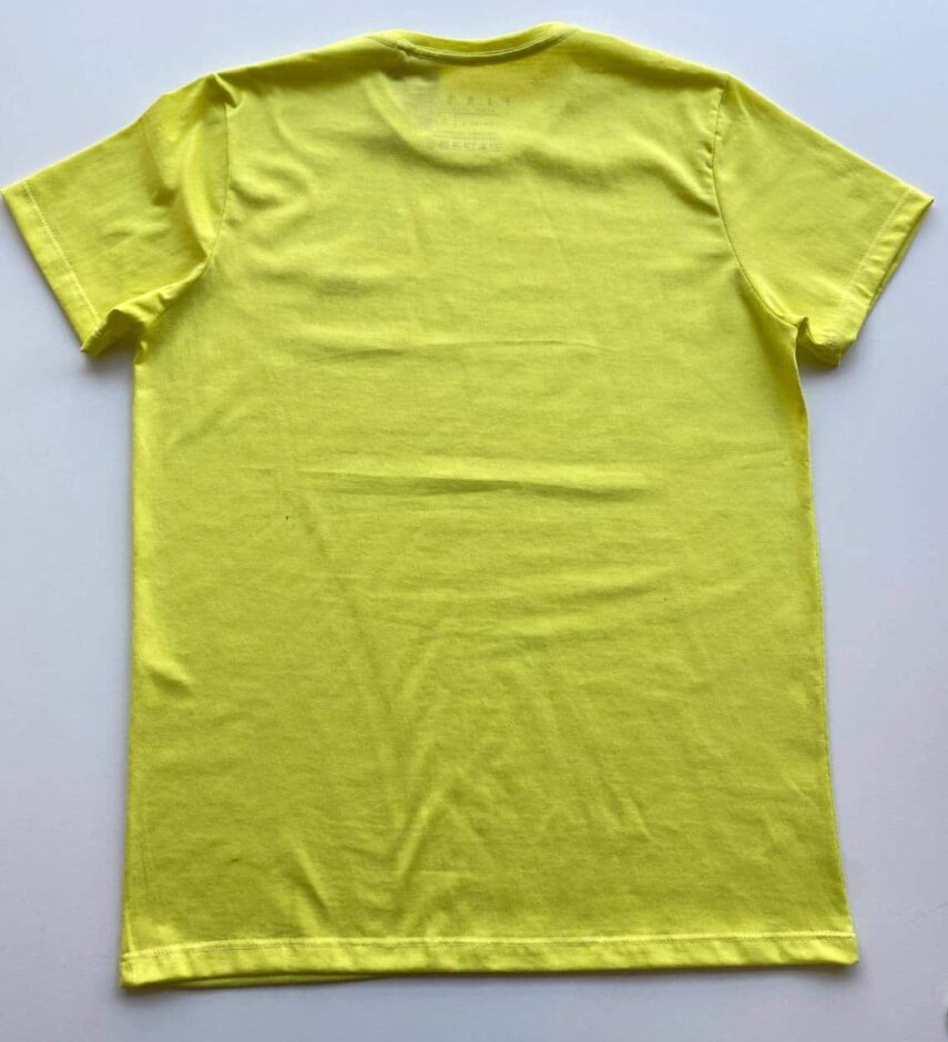 fernandaramosstore com br Camiseta Masculina Basic Ocass Plus Size Verde Lima 4