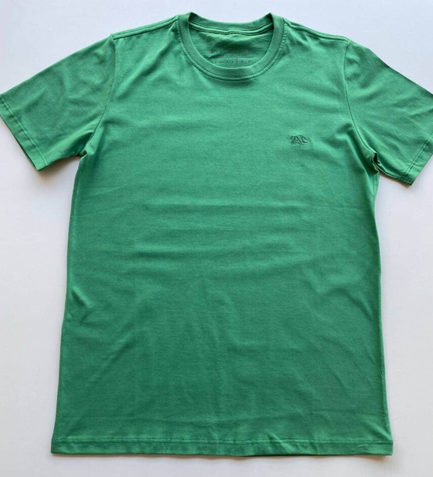 Camiseta Masculina Verde Amazônia Basic Ocass Cor 16 - Fernanda Ramos Store