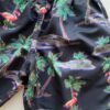 Bermuda Masculina Tactel com Elástico Estampa Flamingo Preta - Fernanda Ramos Store
